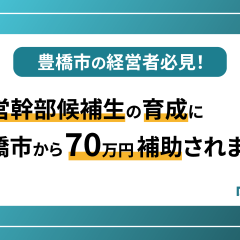 豊橋市の人材育成で使える補助金を解説します